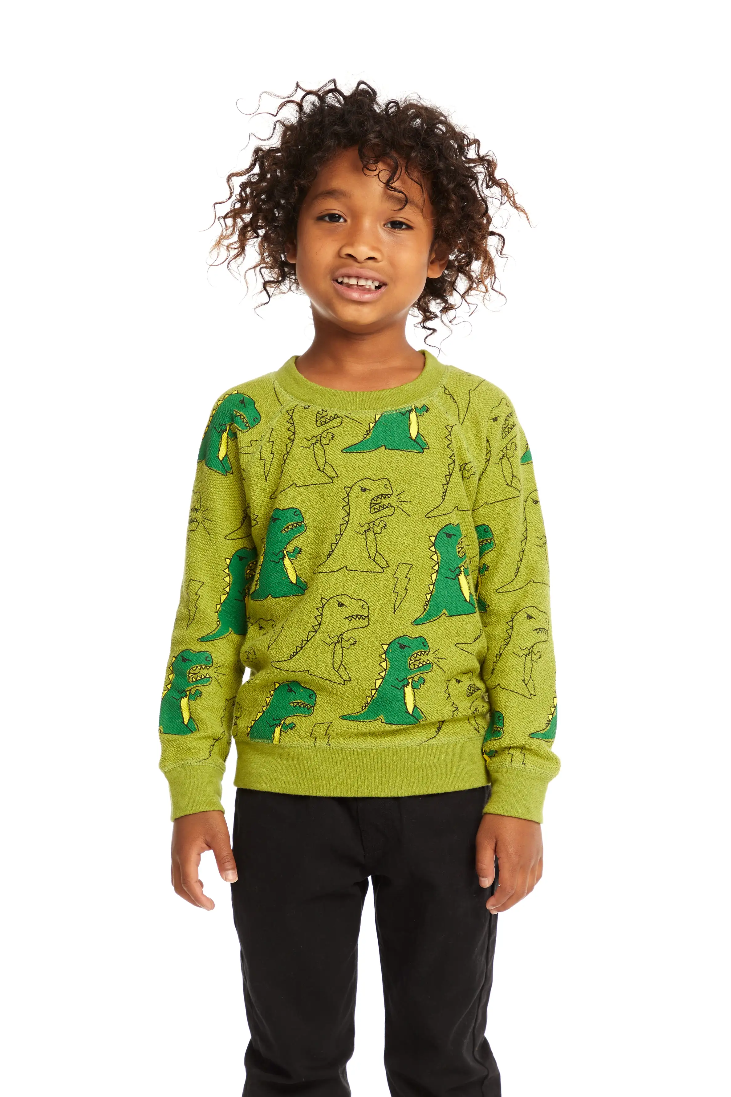 Chaser Dinos Green Pullover