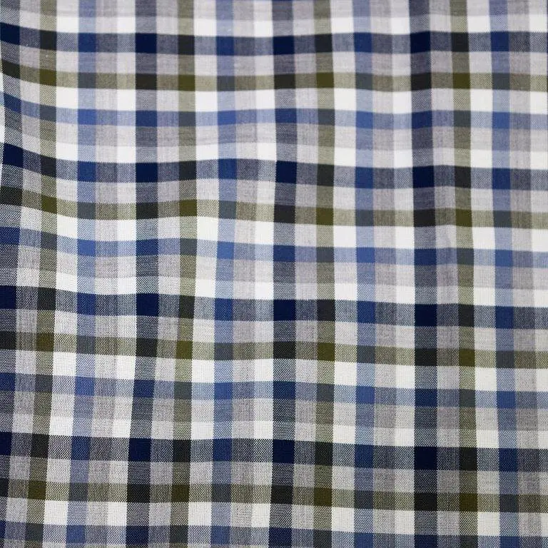 'FX Fusion' Men's Checked Button Down - Blue Multi