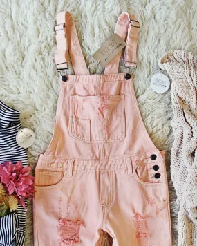 Soft + Destructed Overalls