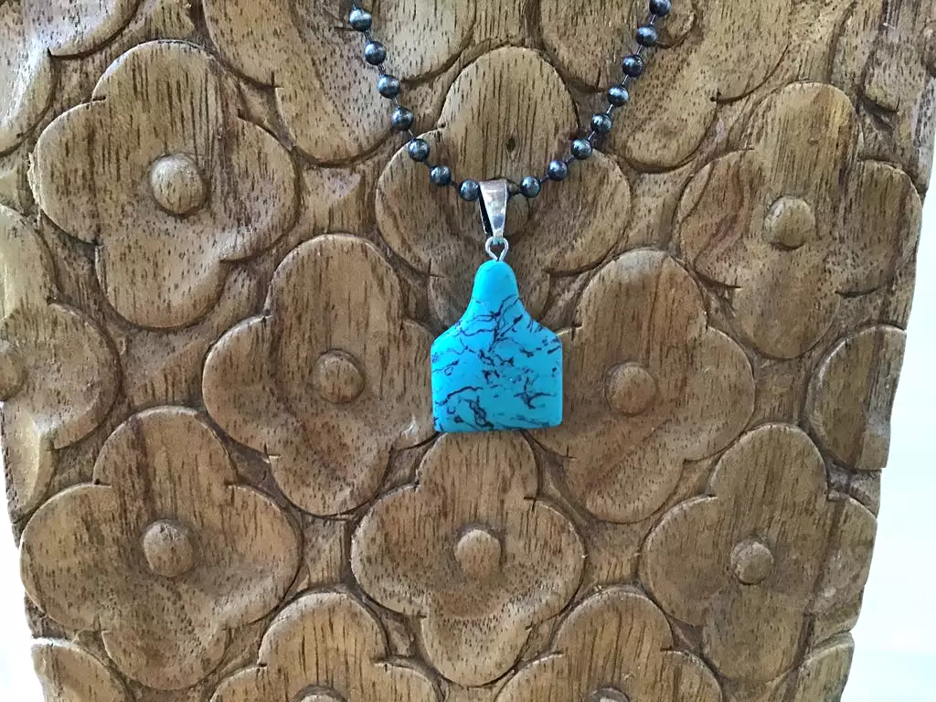 Turquoise Stone Ear Tag Necklace